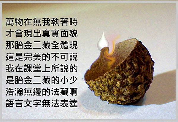 二藏