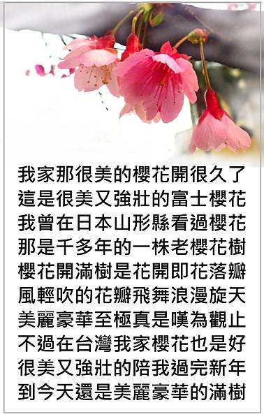 豪華 