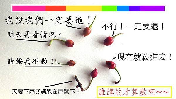 一誰講的才算數