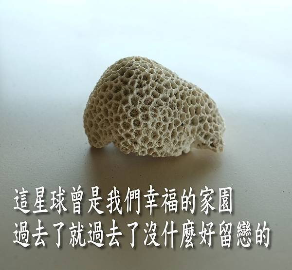 不留戀