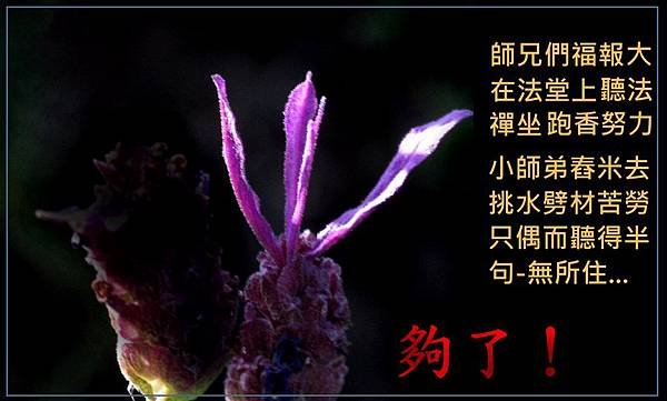 1與1.jpg