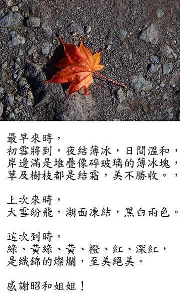 感謝昭和姐姐.JPG