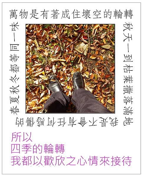我歡欣接待四季的到來.JPG