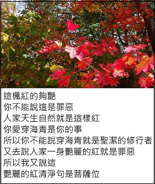 一身艷麗的紅不是罪惡.JPG