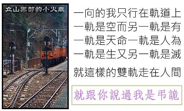 就跟你說過我是弔詭.JPG