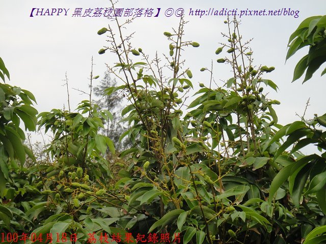 nEO_IMG_DSC02672.jpg