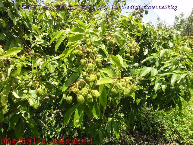 nEO_IMG_DSC02965.jpg