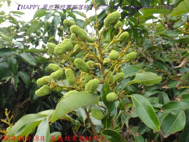 nEO_IMG_DSC02697.jpg