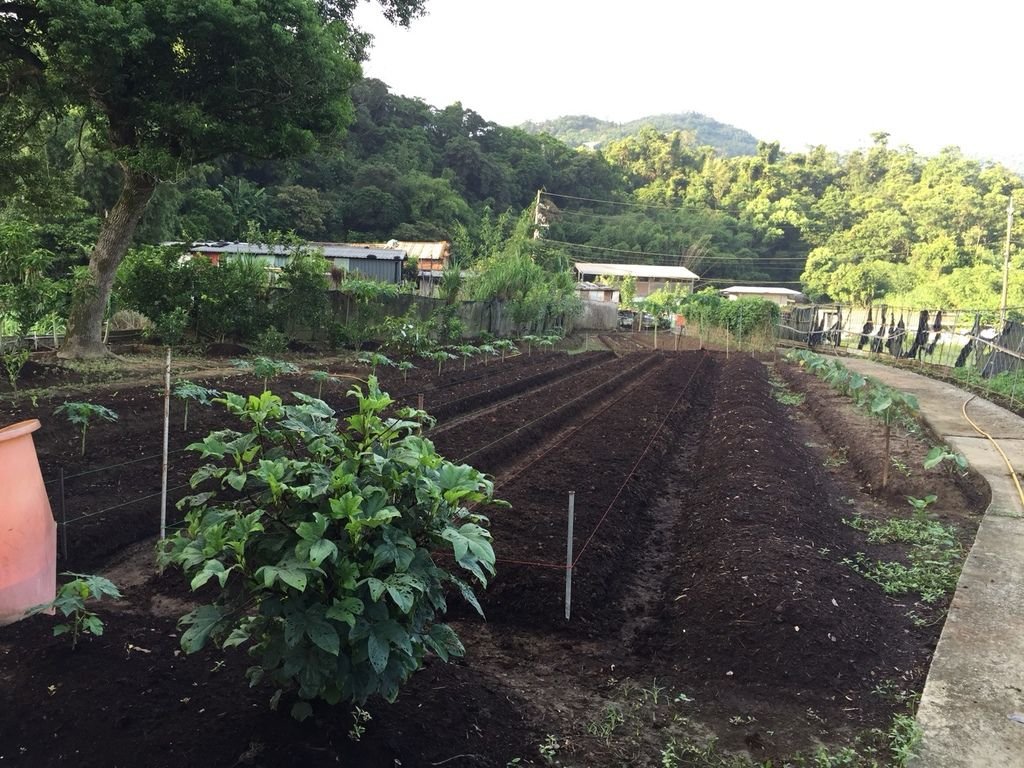 2018.8.16(四)深坑有機農耕現況照片12.jpg