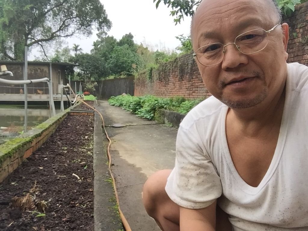 2019.3.3在B北除草鬆土灑荷白種子兩畦1.jpg