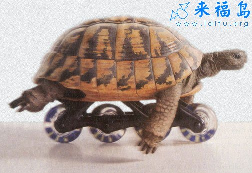 看誰還說我慢.jpg
