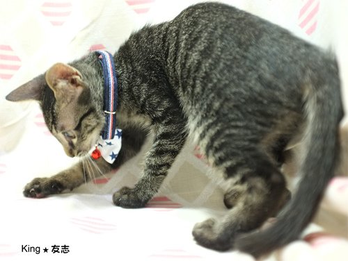 友志_19.jpg