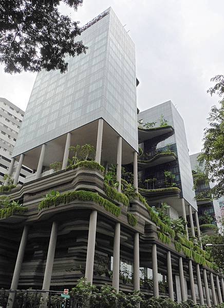 P1010543.JPG
