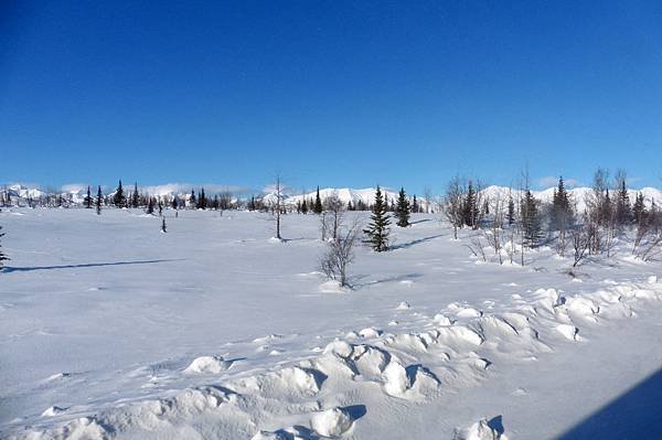 P1010993.JPG