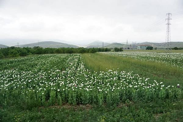 DSC04501.JPG