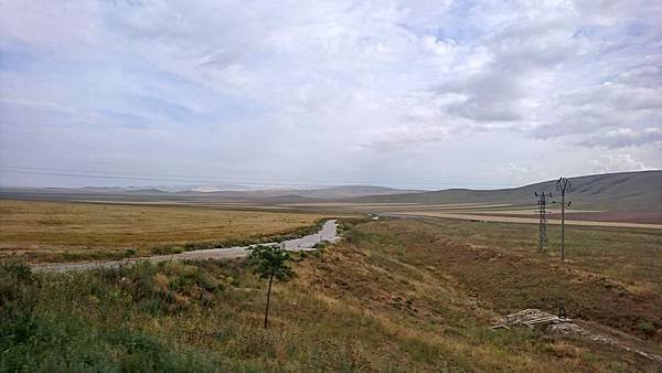 DSC_8310.JPG