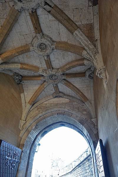 DSC09790.JPG