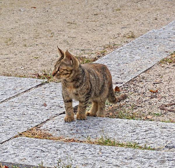 DSC02997.JPG