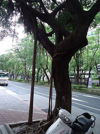 DSC04574a