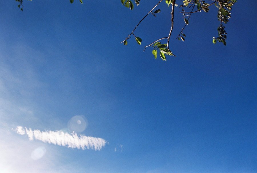 043_resize
