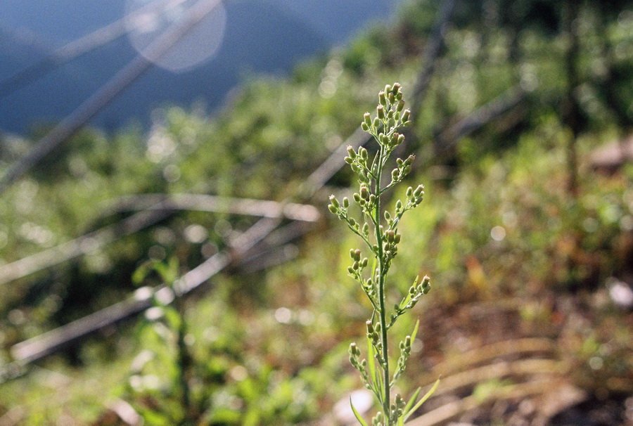 048_resize