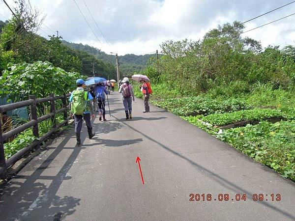 DSCN8466.JPG