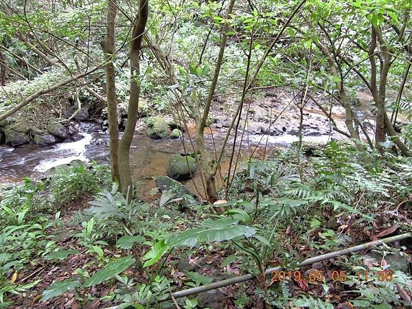 DSCN3762.JPG