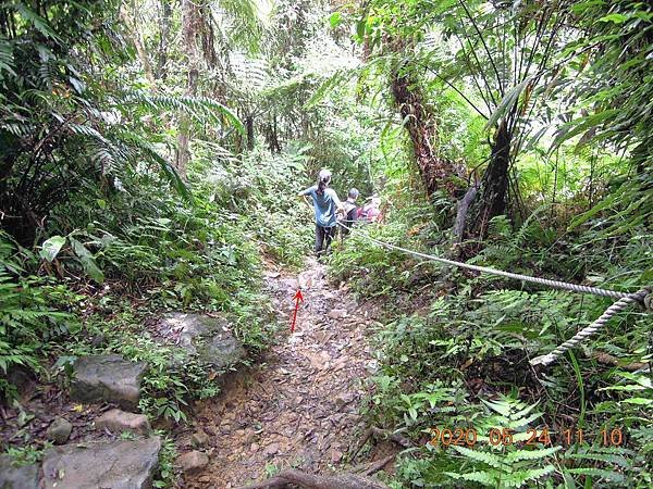 DSCN5648.JPG