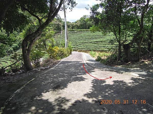 DSCN5884.JPG