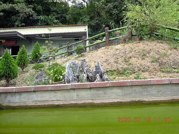 DSCN7375.JPG