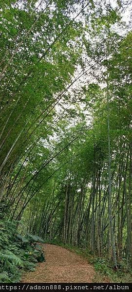 北埔千段崎古道接姜家大院O型