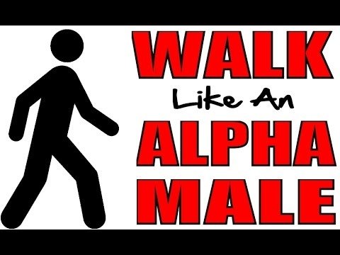 alpha male 4.jpg