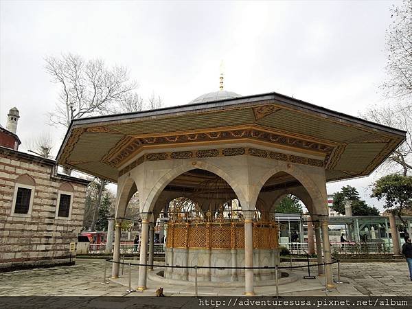 DSCN3170.JPG