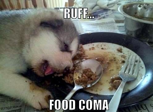 food coma 1.jpg