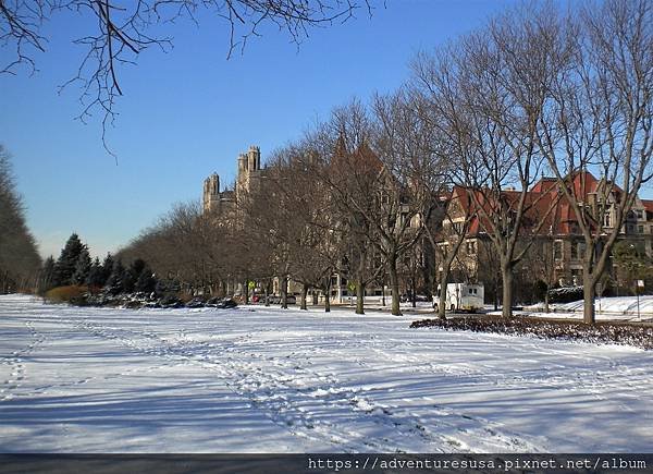 UChicago (2).jpg