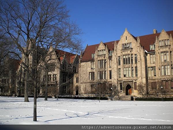 UChicago (25).jpg