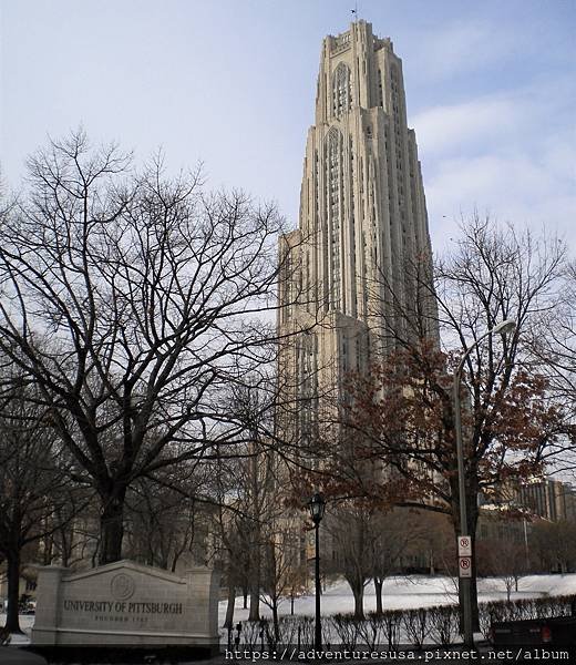 Pitt (13).jpg