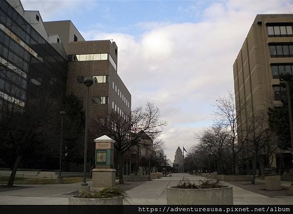 WayneState (9).jpg