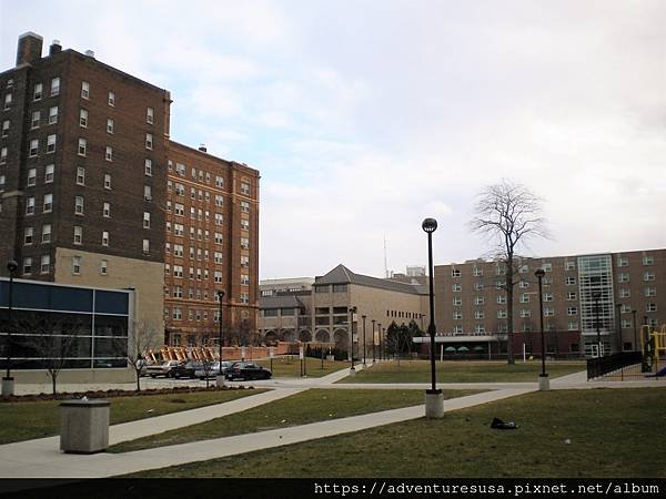 WayneState (17).jpg