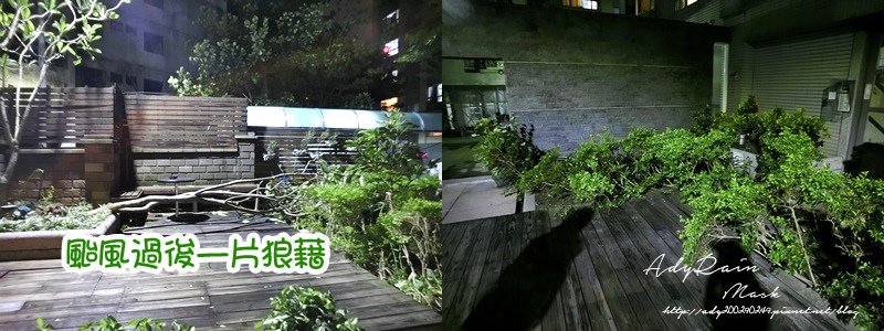 水果酵素亮白面膜F