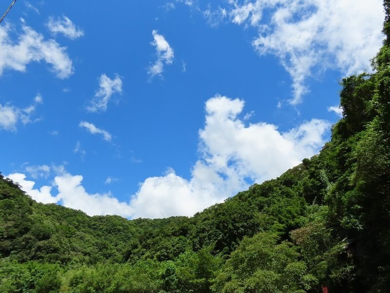 2022-08-07 13-28-19(001).jpg - 20220807_坪林_大舌湖健行步道