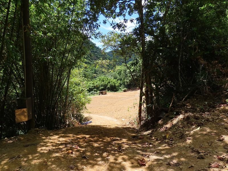 2022-08-07 13-36-10(001).jpg - 20220807_坪林_大舌湖健行步道