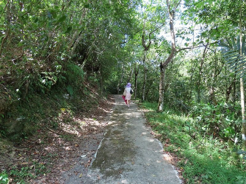2022-08-07 13-40-46(001).jpg - 20220807_坪林_大舌湖健行步道