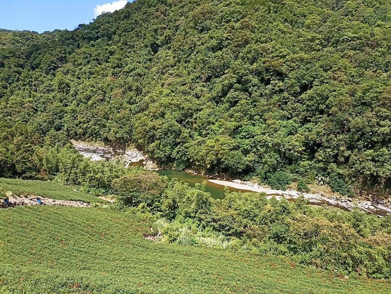 2022-08-07 13-48-38(001).jpg - 20220807_坪林_大舌湖健行步道