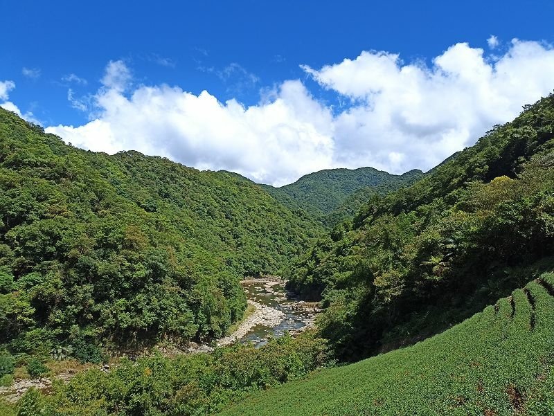 2022-08-07 13-50-36(001).jpg - 20220807_坪林_大舌湖健行步道