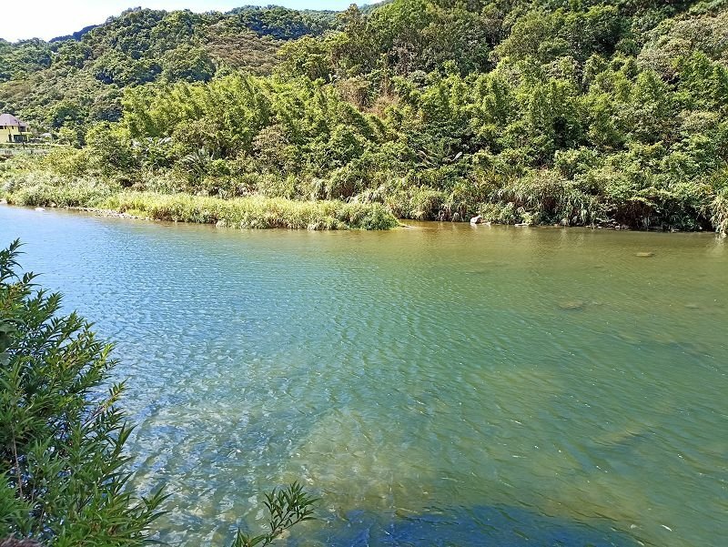 2022-08-07 14-13-24(001).jpg - 20220807_坪林_大舌湖健行步道