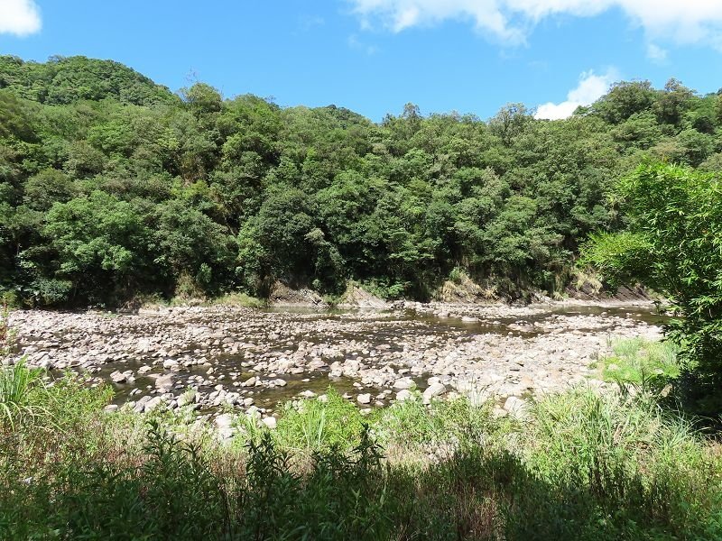 2022-08-07 14-13-48(001).jpg - 20220807_坪林_大舌湖健行步道