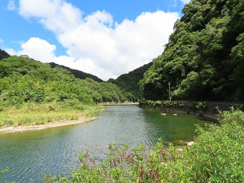 2022-08-07 14-23-51(001).jpg - 20220807_坪林_大舌湖健行步道