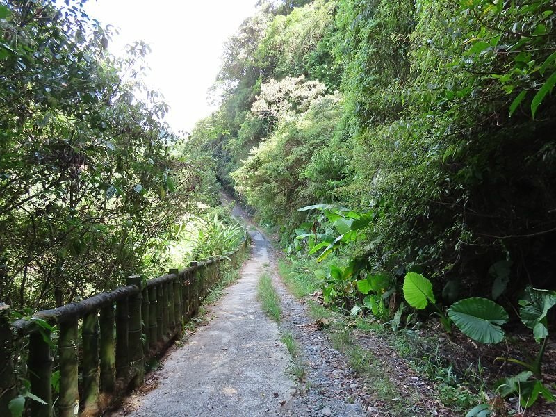 2022-08-07 14-39-31(001).jpg - 20220807_坪林_大舌湖健行步道