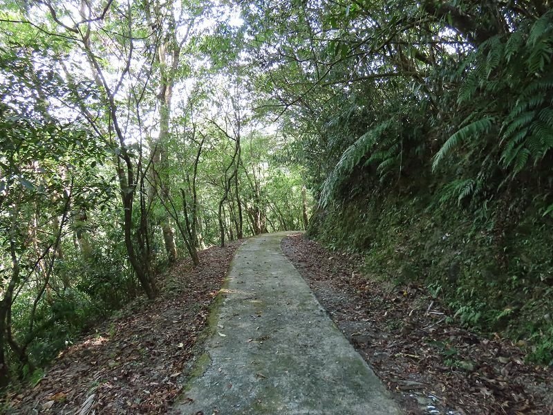 2022-08-07 14-44-02(001).jpg - 20220807_坪林_大舌湖健行步道